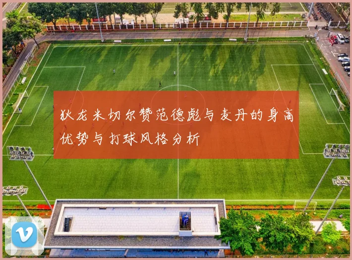 狄龙米切尔赞范德彪与麦丹的身高优势与打球风格分析