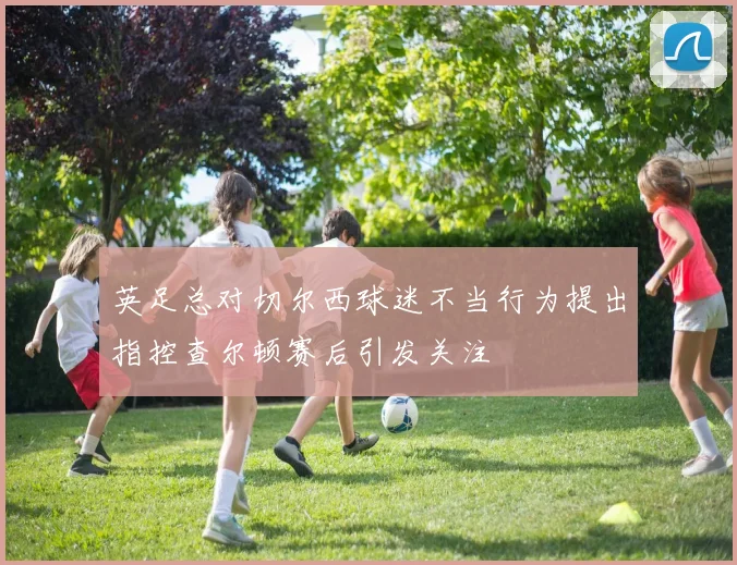 英足总对切尔西球迷不当行为提出指控查尔顿赛后引发关注